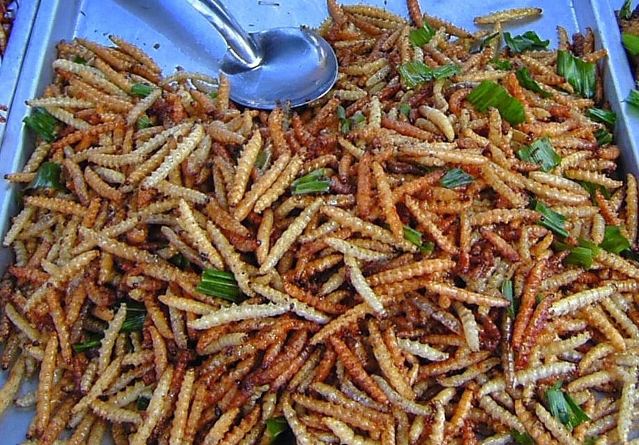 The Case for Insects on the Space Menu