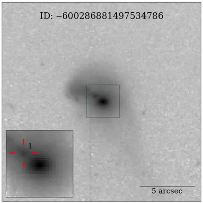 The Euclid space telescope observed 1.2 million galaxies in just 1 year. Here's what we've learned