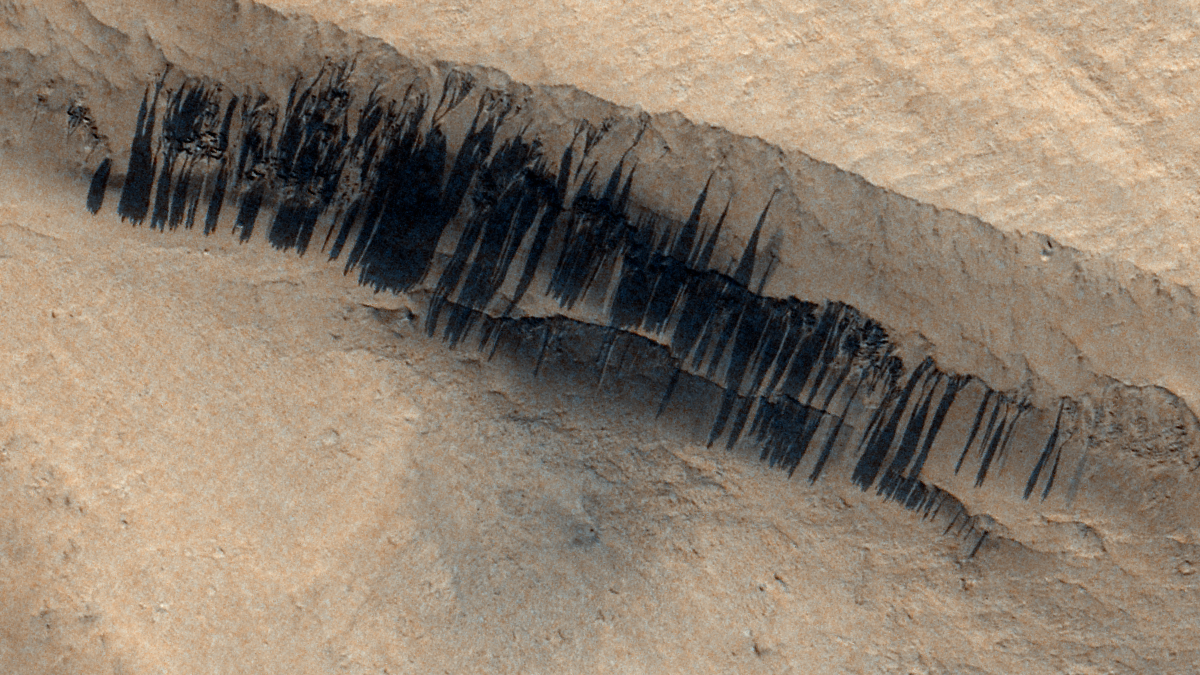 The ExoMars Orbiter Captures Dark Streaks on the Slopes of Mars Caused by a Meteorite Impact