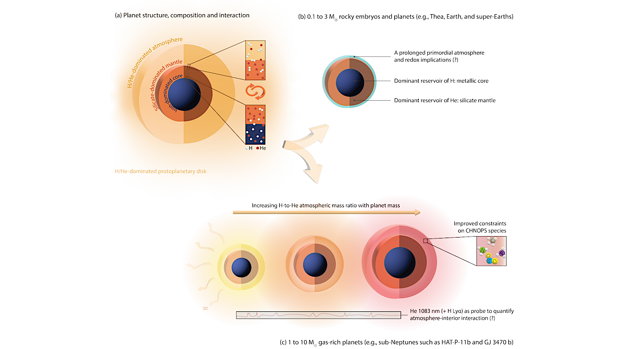 The Fate of Hydrogen and Helium: From Planetary Embryos to Earth- and Neptune-like Worlds