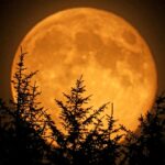 The moon illusion makes the moon look huge!