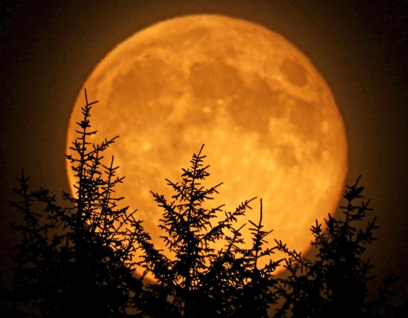 The moon illusion makes the moon look huge!