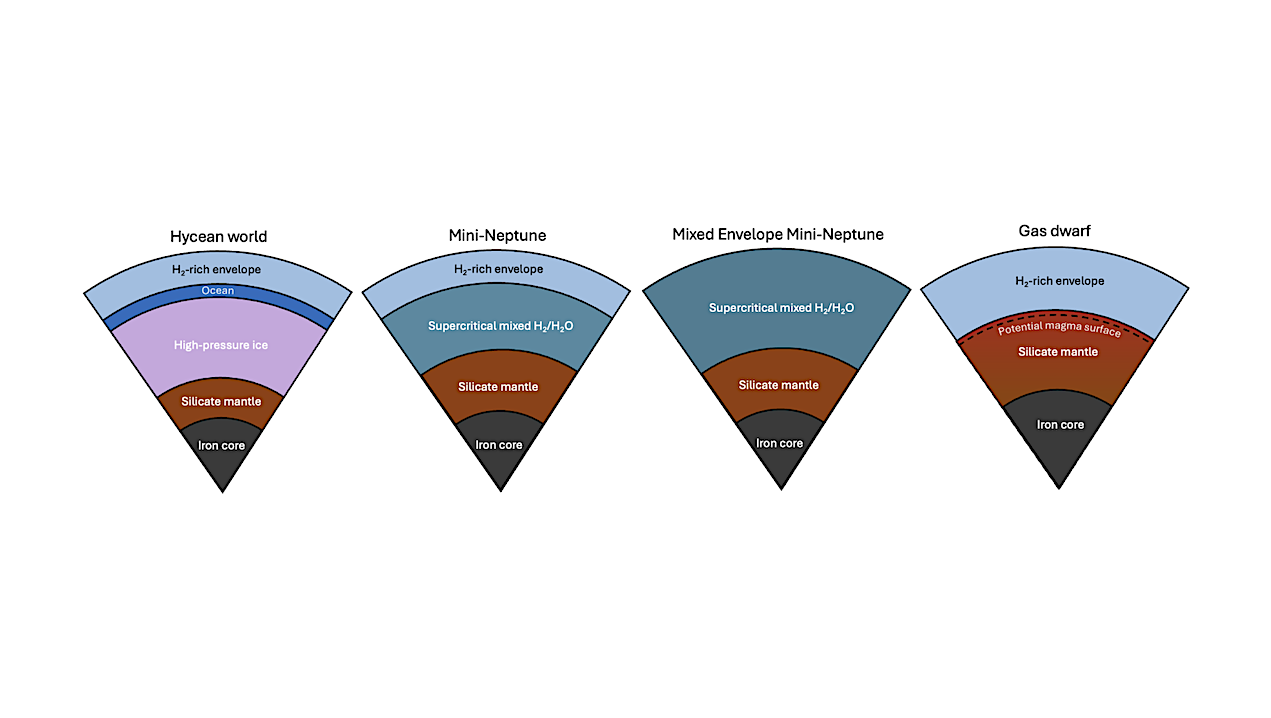 The Surface and Interior Conditions of Temperate Sub-Neptune TOI-270 d