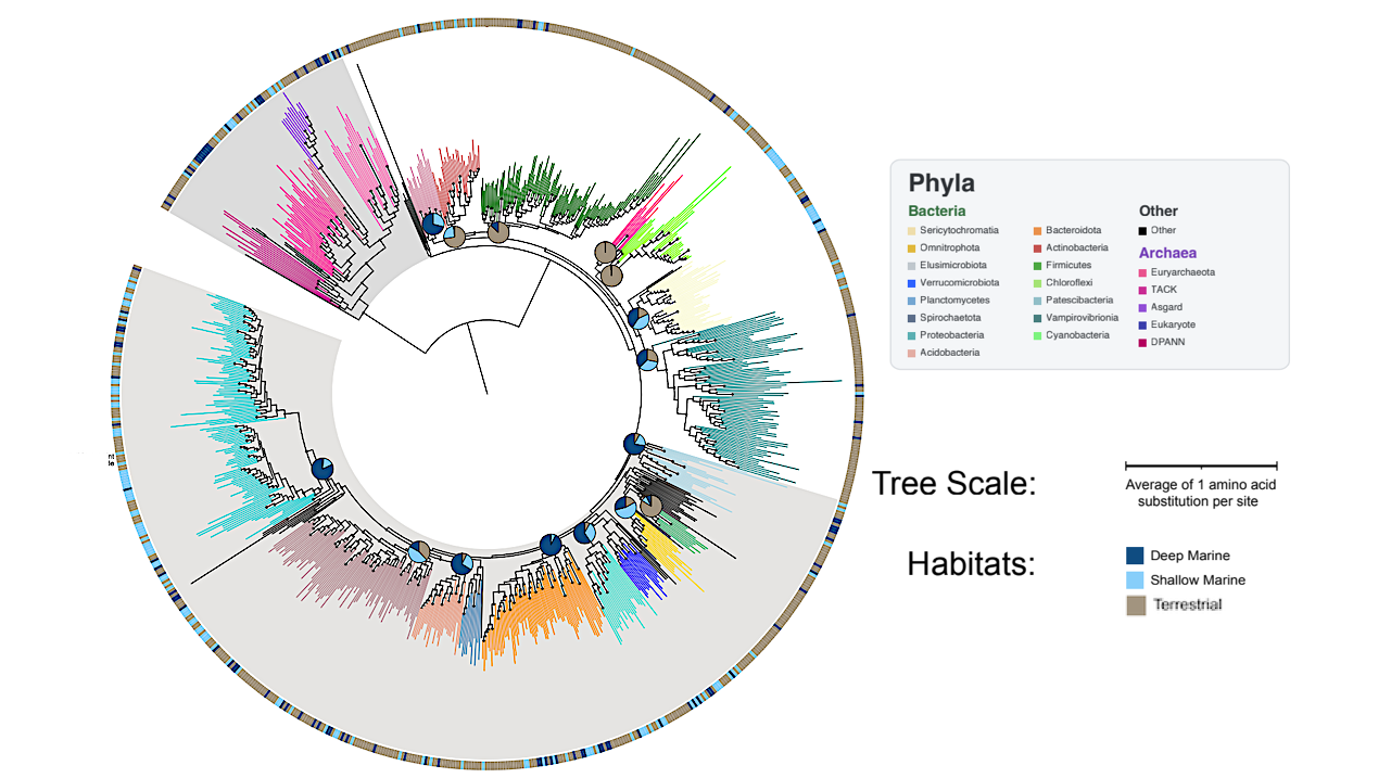 Time-resolved Phylogenomics Analysis Reveals Patterns In Biosphere Nutrient Limitation Through Earth History