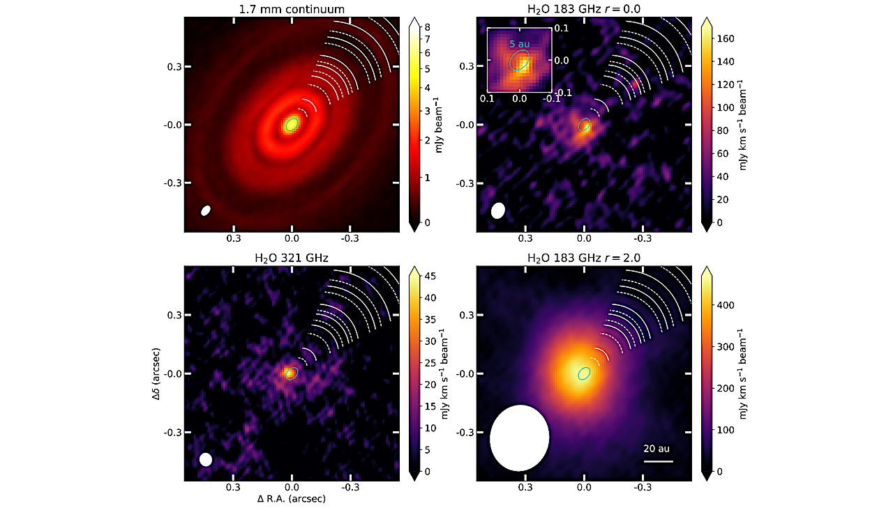 Zooming Into The Water Snowline: High Resolution Water Observations of the HL Tau disk