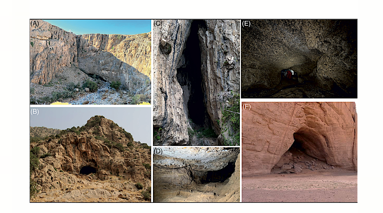Caves On Earth As Proxies For Martian Subsurface Environments