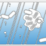 Complex Life Developed Earlier Than Previously Thought, Nature Study Reveals