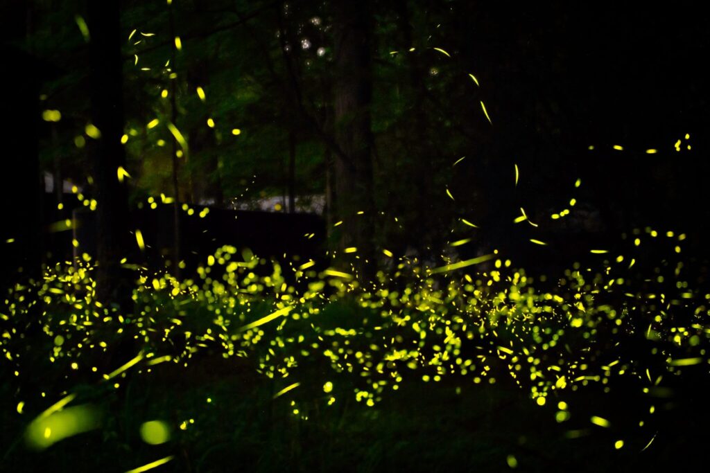 Could Advanced Civilizations Communicate like Fireflies