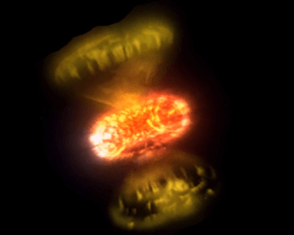 Direct Images Of Nova Explosions Reveal Their Complexity