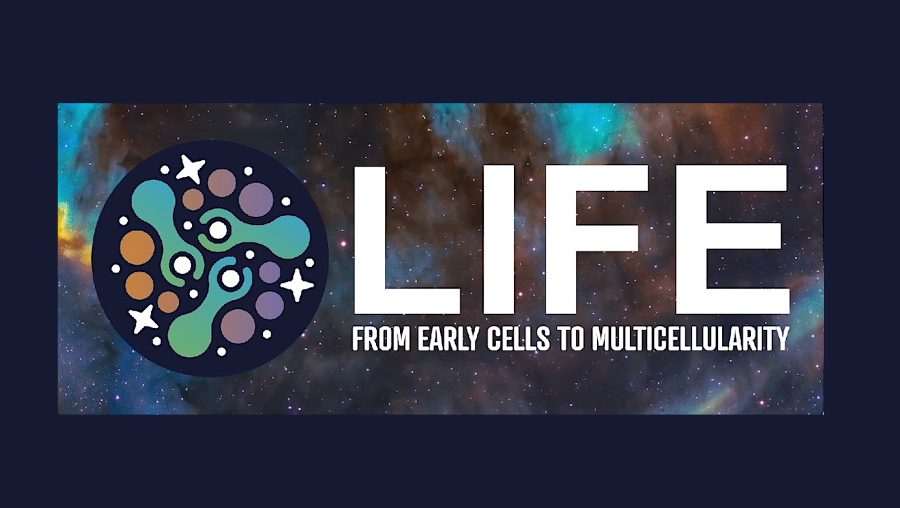 LIFE NASA RCN Seminar 6 January 2026