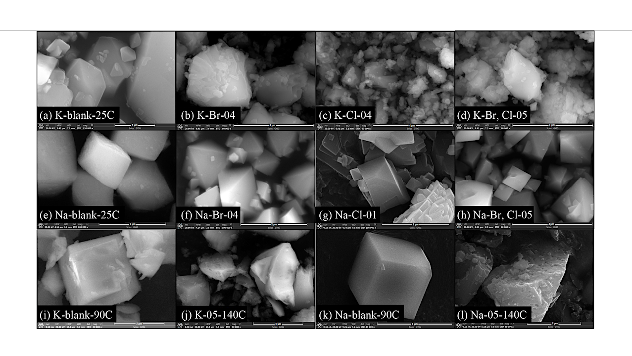 Mars’ Salty Secrets: How Ancient Brines Imprinted Their Chemical Fingerprints In Martian Minerals