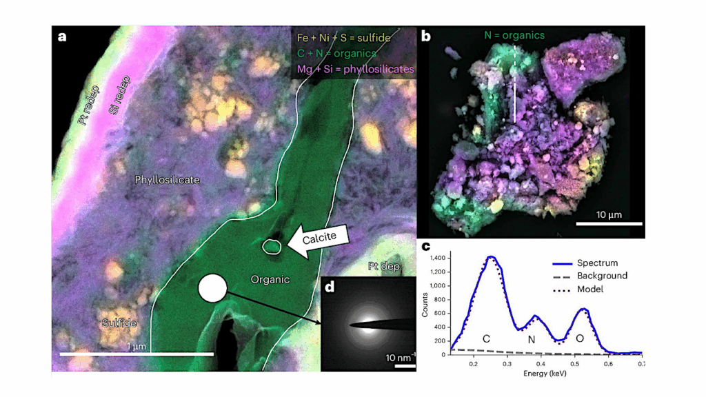 Nitrogen- And Oxygen-Rich Organic Material Indicative Of Polymerization In Pre-aqueous Cryochemistry On Bennu’s Parent Body