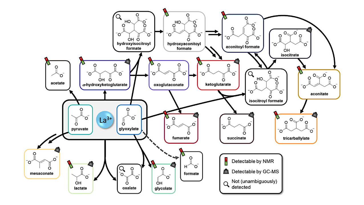Rare Earth Elements – Of Peptides And The Origins Of Life