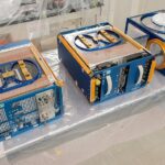 Space Mice Come Home and Start Families