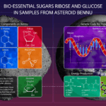 Sugars, ‘Gum,’ Stardust Found in NASA’s Asteroid Bennu Samples