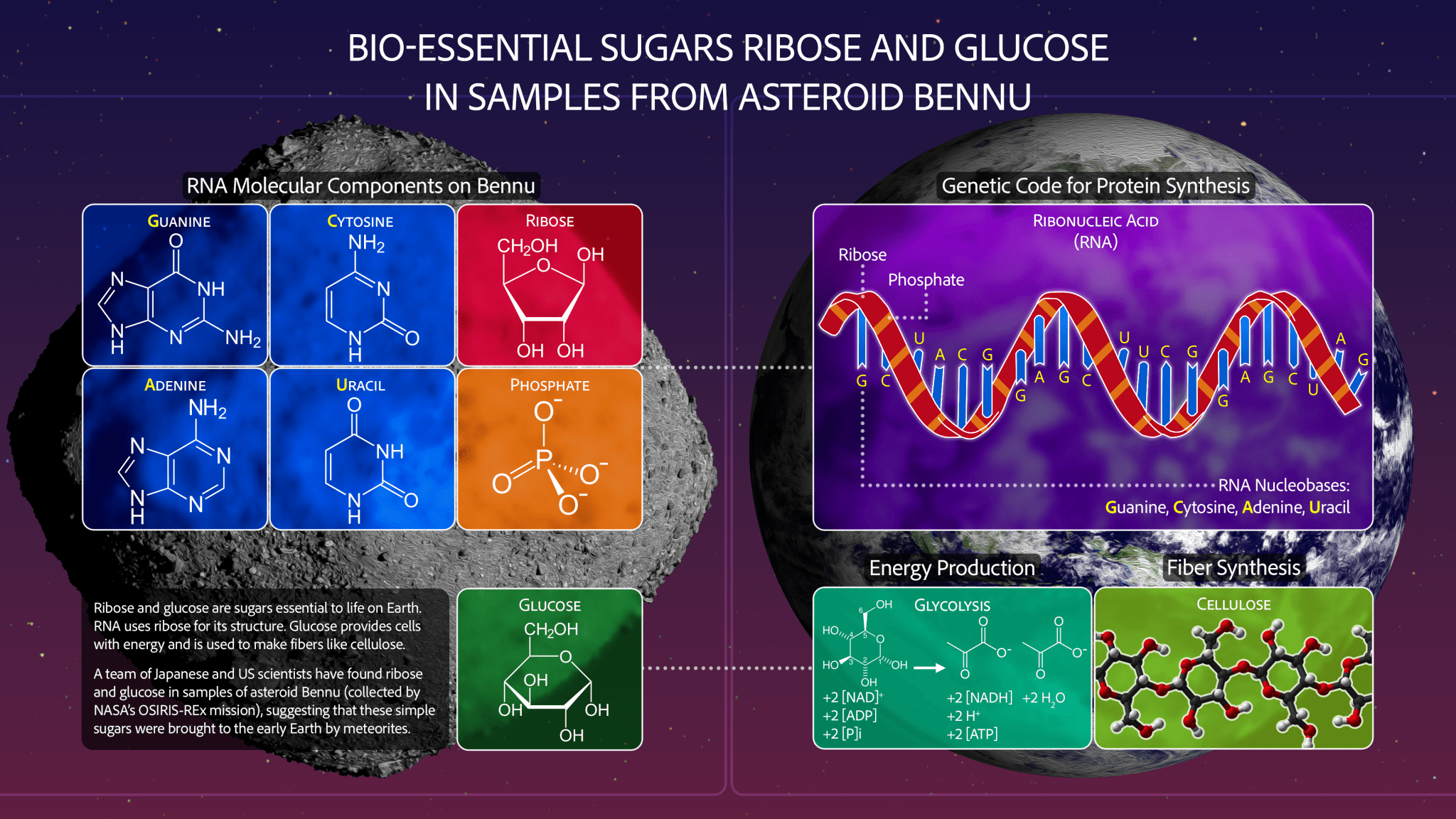 Sugars, ‘Gum,’ Stardust Found in NASA’s Asteroid Bennu Samples