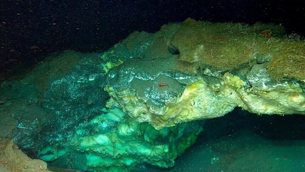 The Deepest Gas Hydrate Cold Seep Ever Discovered In The Arctic