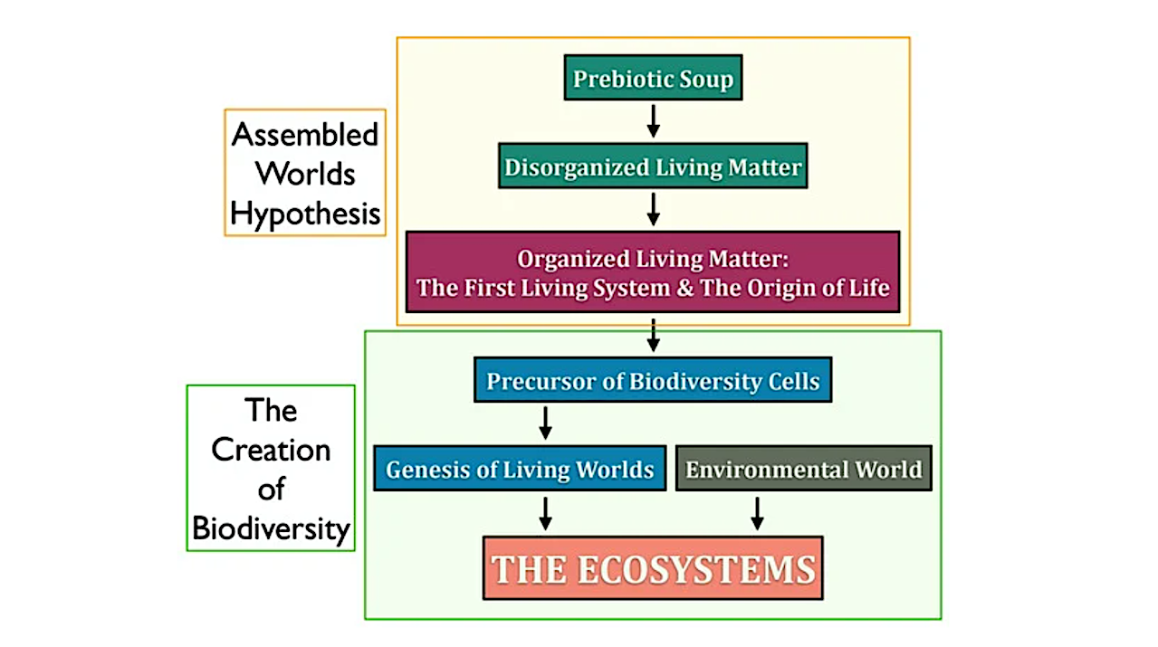 The Origin Of Life And Cellular Systems: A Continuum From Prebiotic Chemistry To Biodiversity