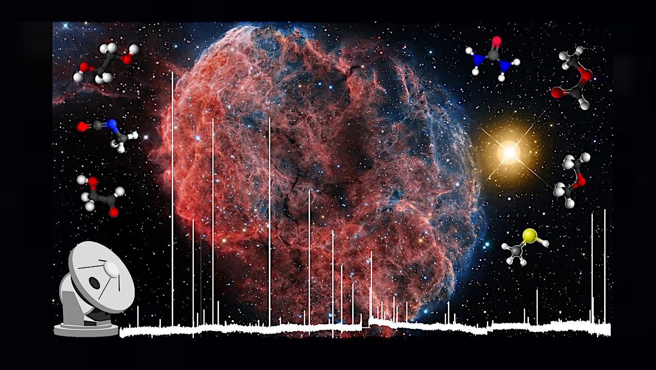 The Role Of Supernova Remnants For The Emergence Of Pre-biotic Chemistry In Molecular Clouds
