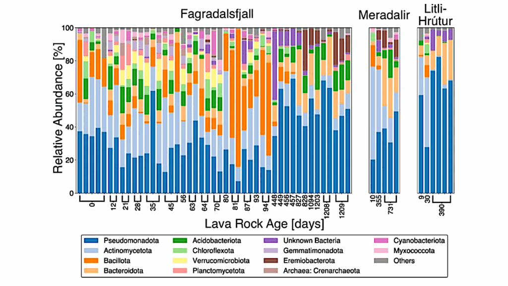 Three eruptions At The Fagradalsfjall Volcano In Iceland Show Rapid And Predictable Microbial Community Establishment