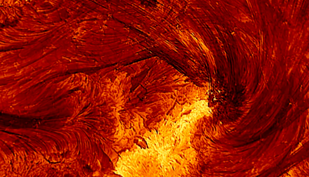 Transients As Determinants Of Habitability
