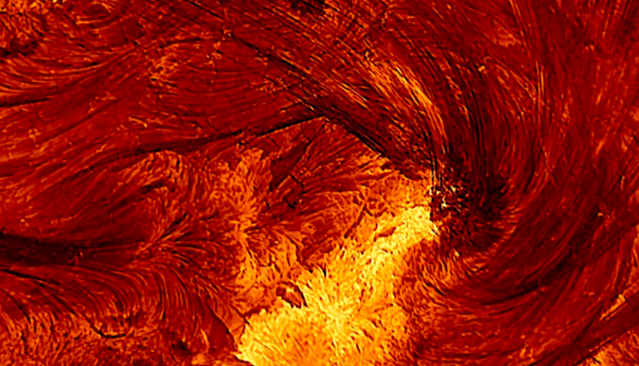 Transients As Determinants Of Habitability