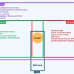 Understanding The ‘Spaceflight Treatment’ In Plant Space Biology: Experimental Practices, Metadata Workflows, And Data Re-analysis