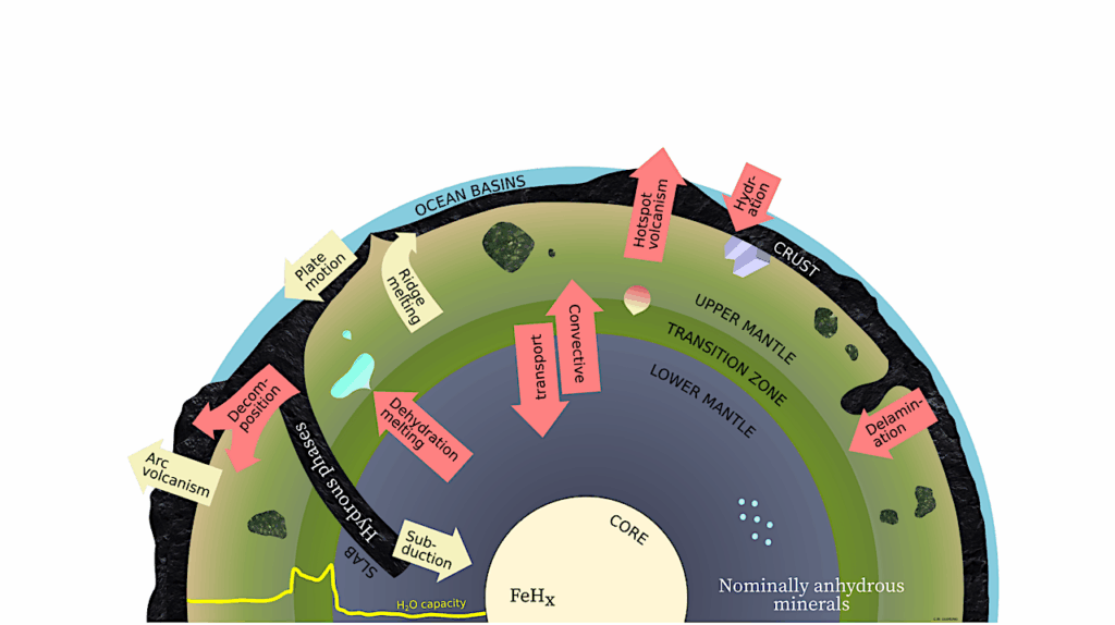 Water Versus Land On Temperate Rocky Planets