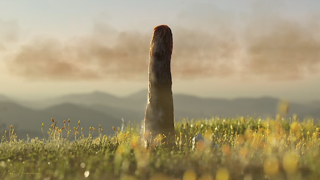 410 Million Year Old Fossil Of Prototaxites Defies Classification