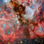 A neighbouring vista of stellar birth