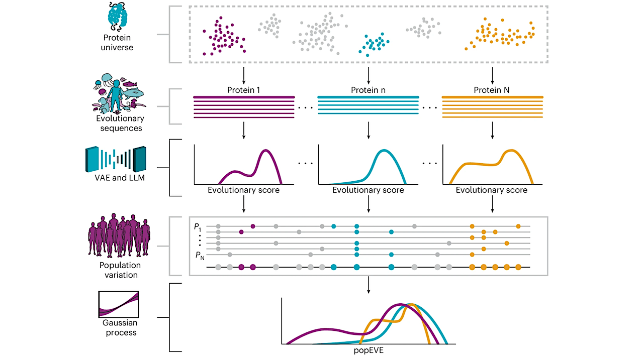 AI Learns From The Tree Of Life To Support Rare Disease Diagnosis