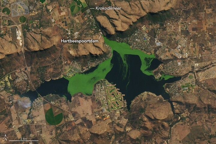 Algae Swirls Across a South African Reservoir