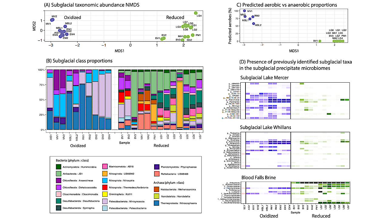 Ancient Metagenomics Reveals Subglacial Microbiomes Driven By Oxygen Availability