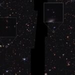 As Puzzling As A Platypus: The JWST Finds Some Hard To Categorize Objects