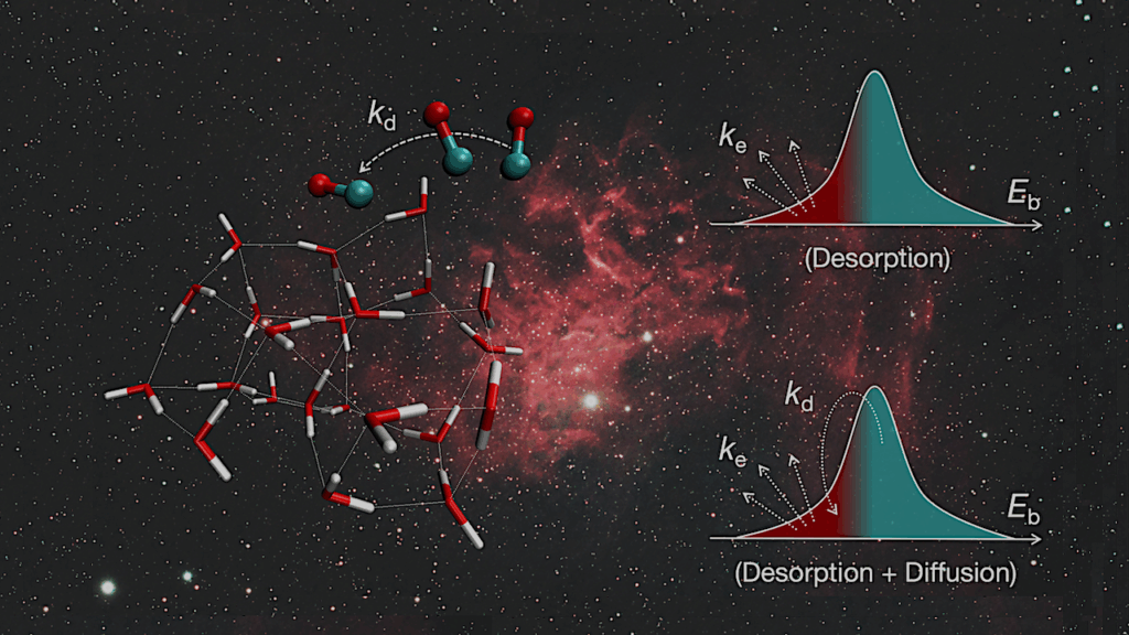 CO Diffusion on Interstellar Amorphous Solid Water: A Computational Study