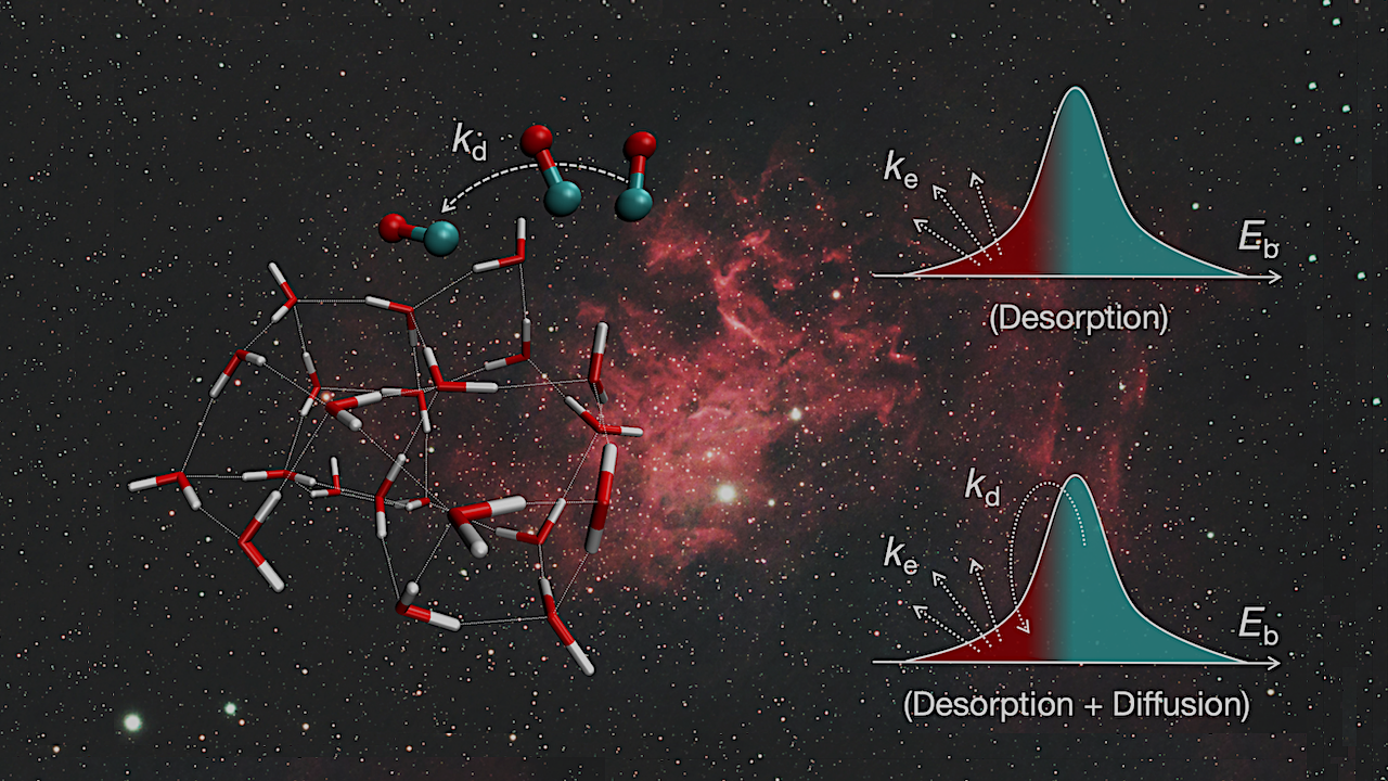CO Diffusion on Interstellar Amorphous Solid Water: A Computational Study