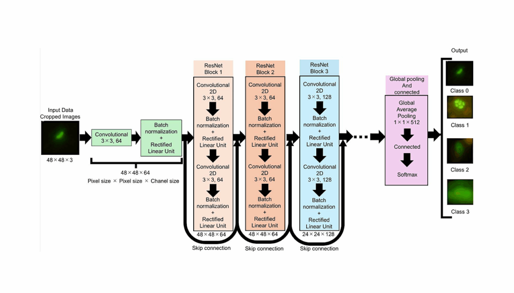 Deep Learning For Microbial Life Detection In Deep Subseafloor Samples: Objective Cell Recognition