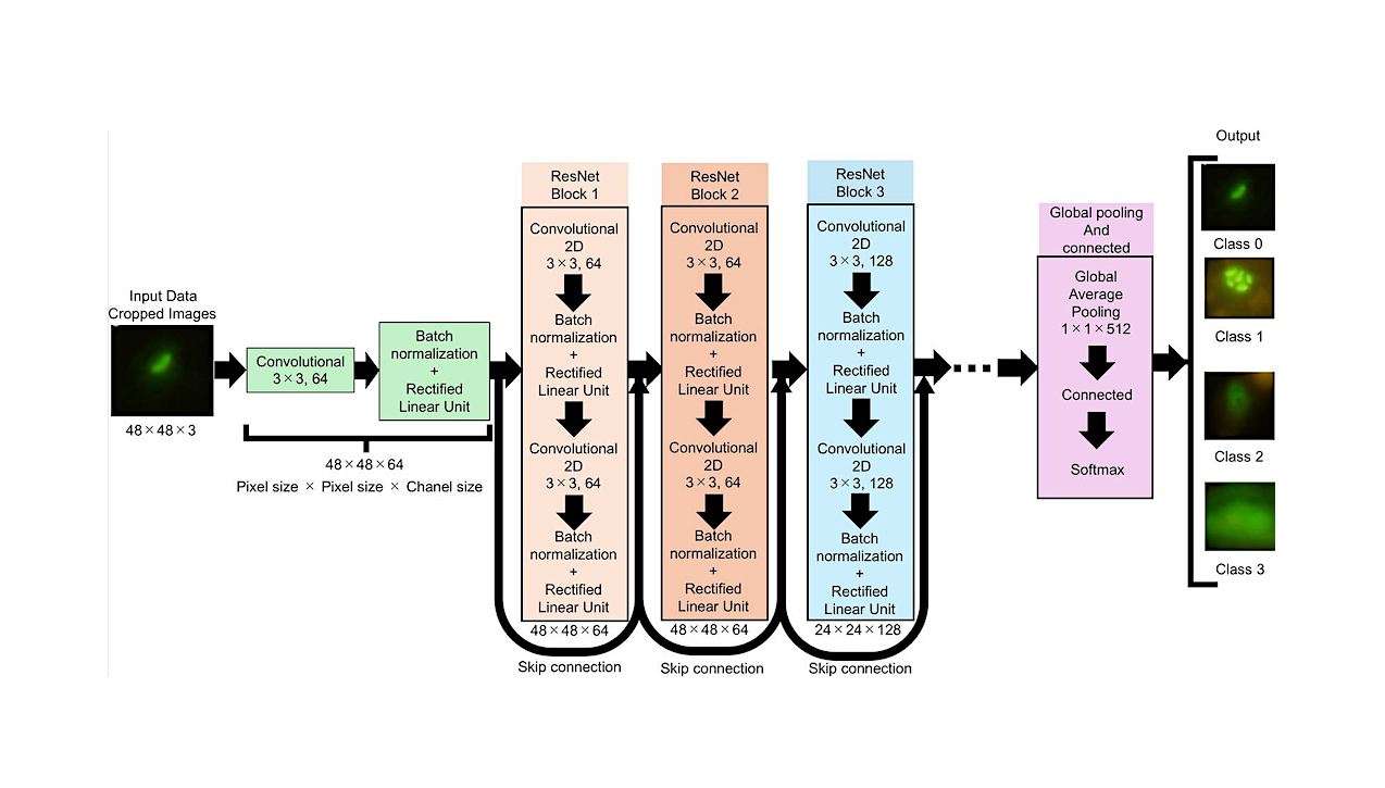 Deep Learning For Microbial Life Detection In Deep Subseafloor Samples: Objective Cell Recognition