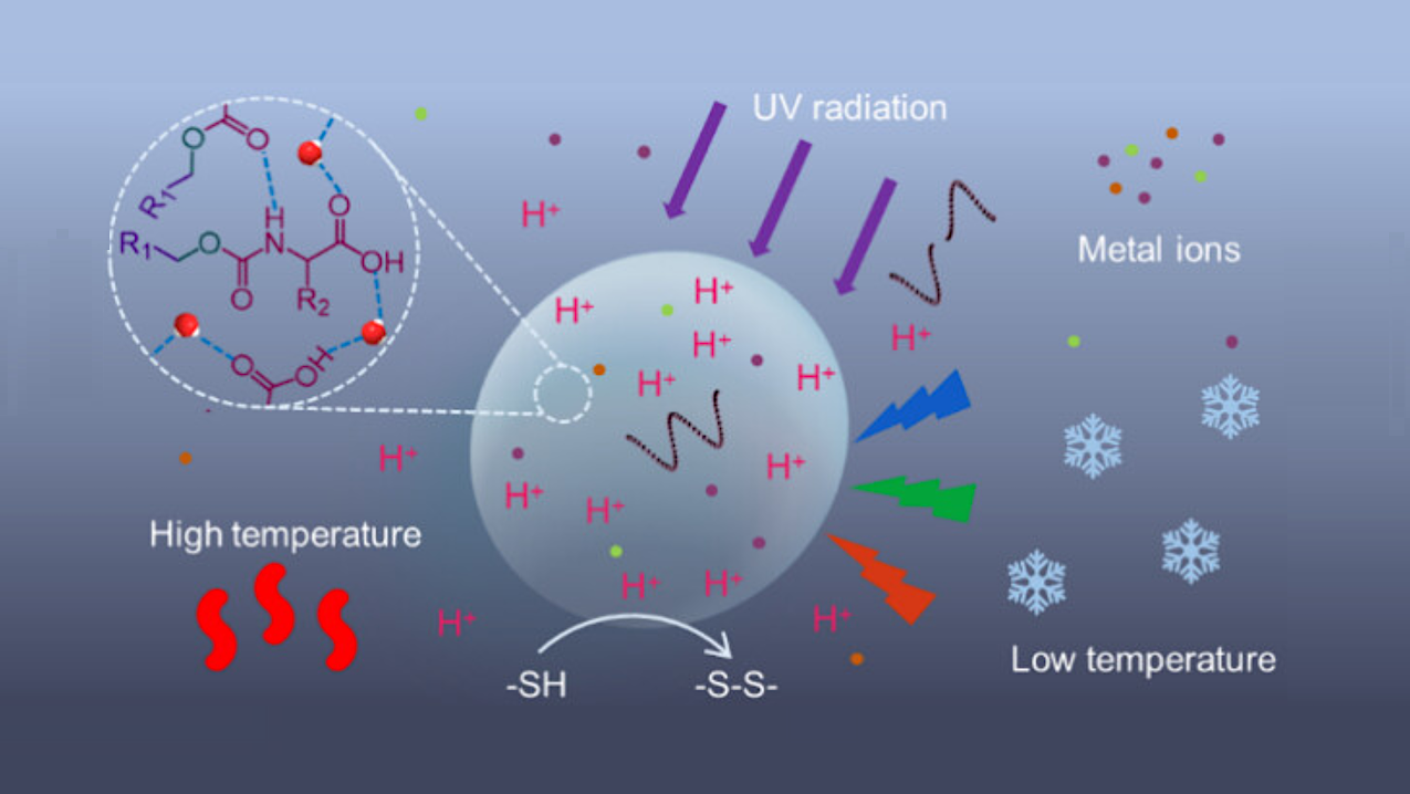 Entropy-Driven Amino Acid-Based Coacervates with Enzyme-Free Metabolism and Prebiotic Robustness