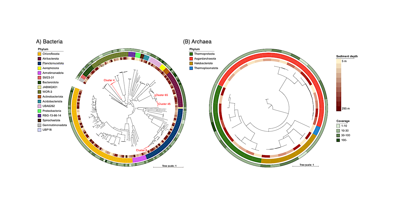Evolutionary Stasis And Homogeneous Selection Structure Microbial Communities In The Deep Subseafloor Sedimentary Biosphere