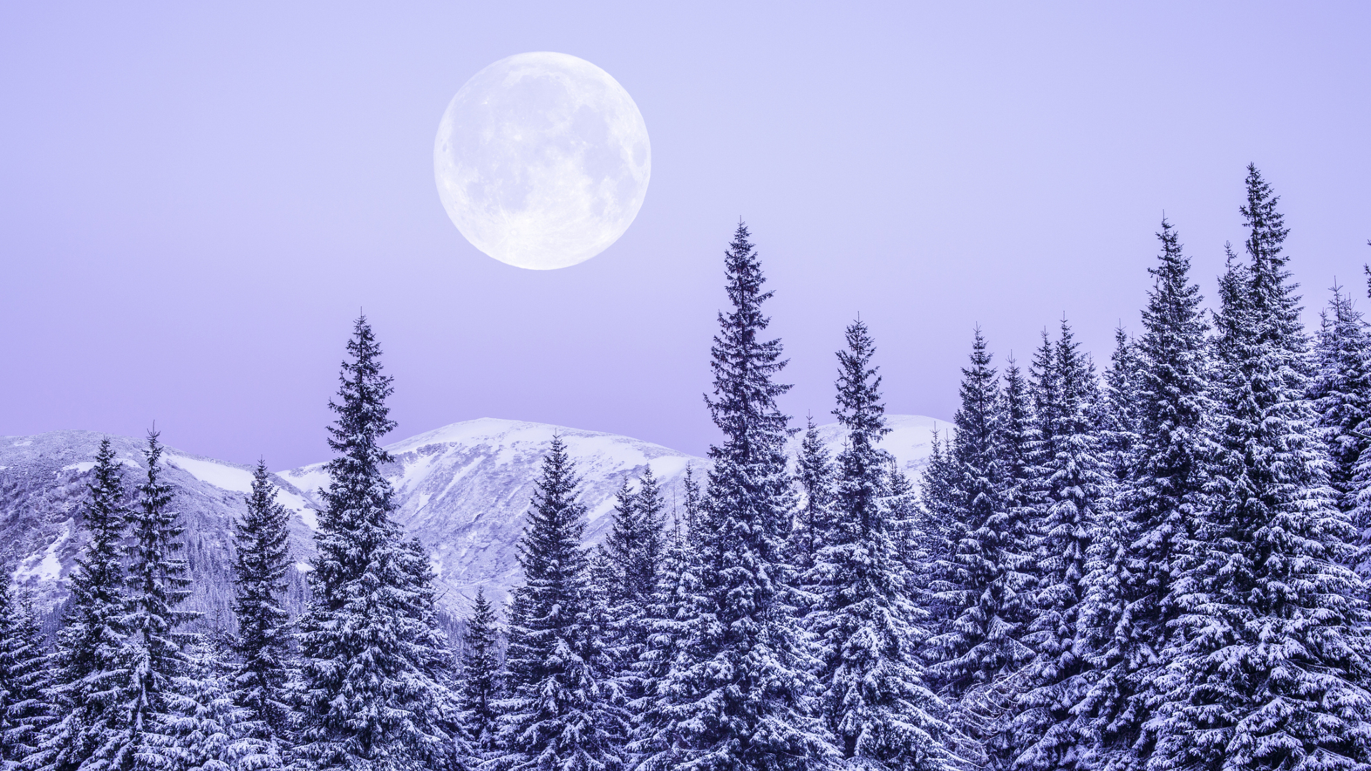 February full moon 2026: When, where and how to see the Snow Moon