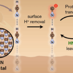 Frozen Hydrogen Cyanide ‘Cobwebs’ Offer Clues To Origin Of Life