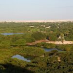 Halotolerant Bacteria From Mangrove And Restinga Ecosystems In Camocim, Brazil: Astrobiological Relevance And Biotechnological Potential