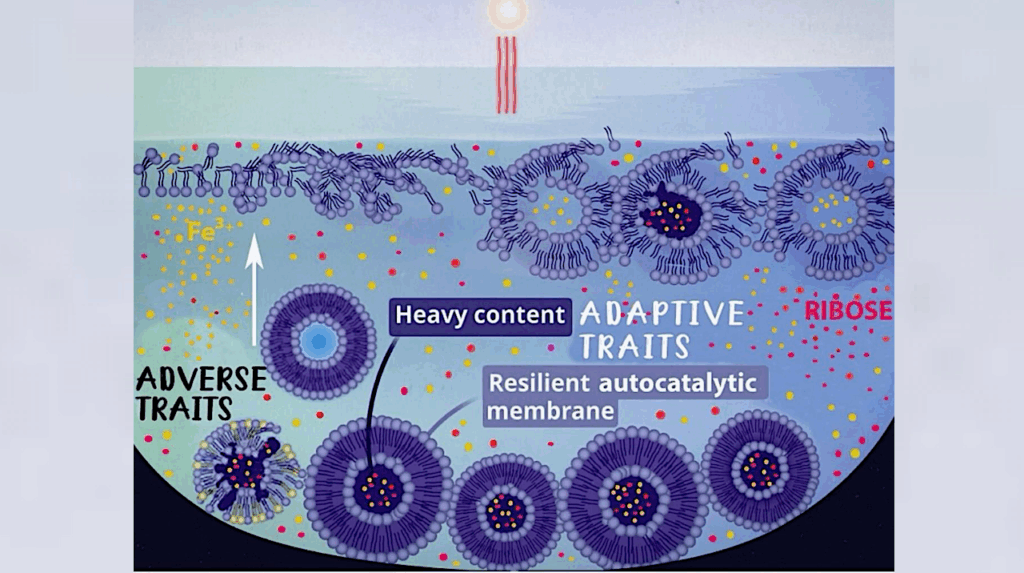 Heuristic Model On The Origin Of The Homochirality Of Life Heuristic Model On The Origin Of The Homochirality Of life