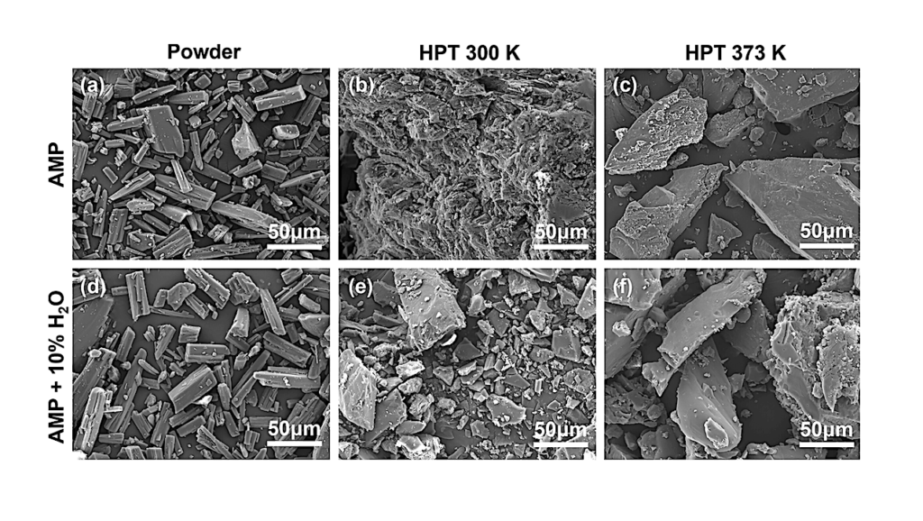 High-Pressure Torsion-Induced Transformation of Adenosine Monophosphate: Insights into Prebiotic Chemistry of RNA by Astronomical Impacts