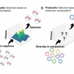 How Early Cell Membranes May Have Shaped The Origins Of Life