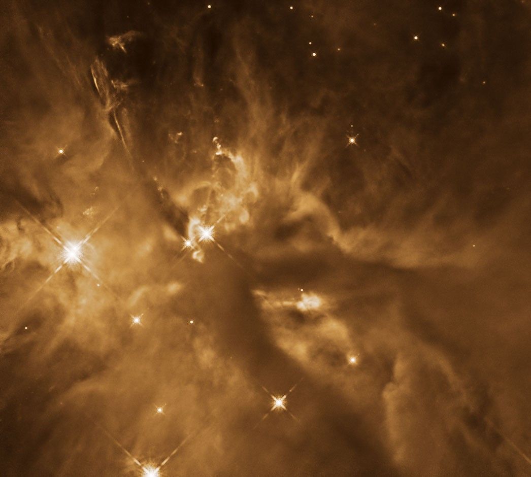 Hubble Observes Stars Flaring to Life in Orion