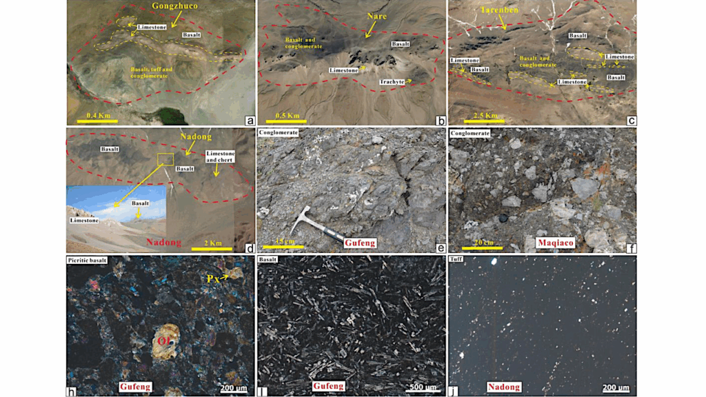 Key Drivers Of Recurrent Extinction In The Triassic