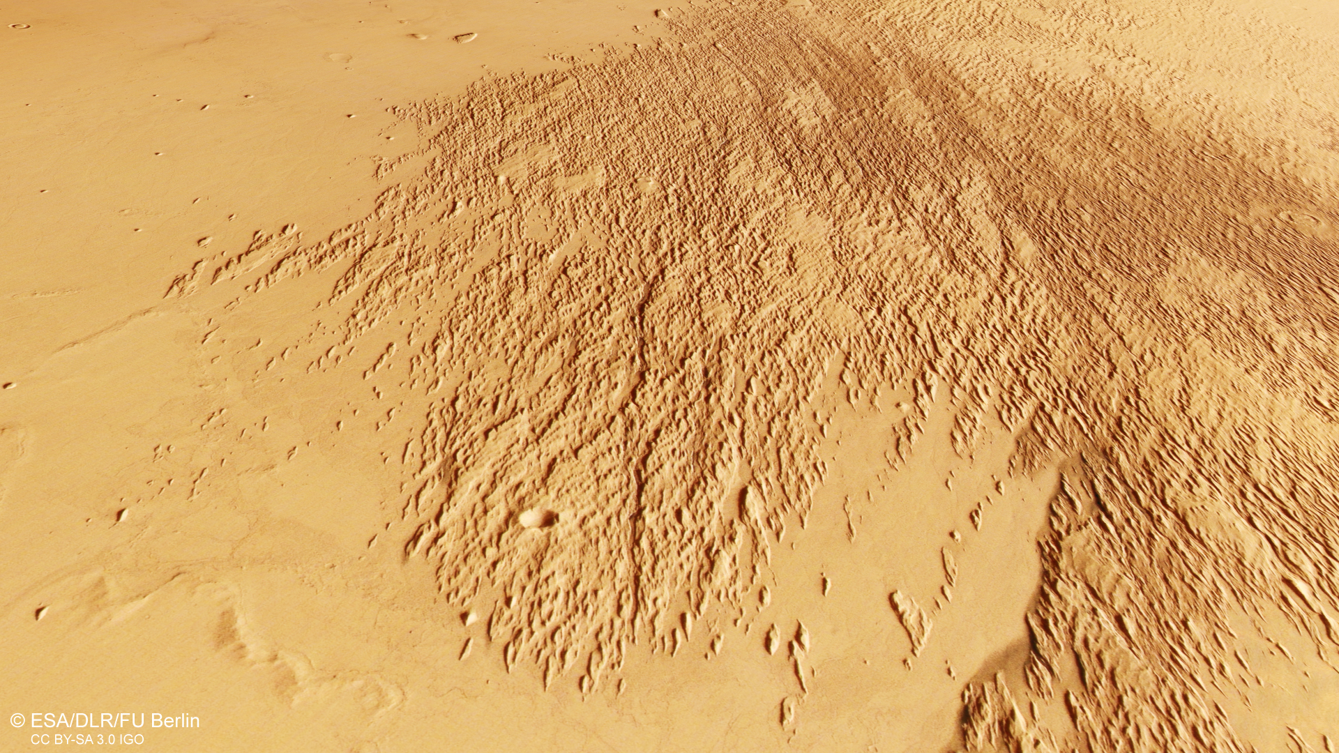 Mars orbiter sees odd etchings in the sand | Space photo of the day for Jan. 20, 2025