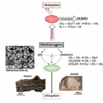 Methanogens Through Geological Time And Space: Impact On Planetary Evolution and Significance For Life Beyond Earth